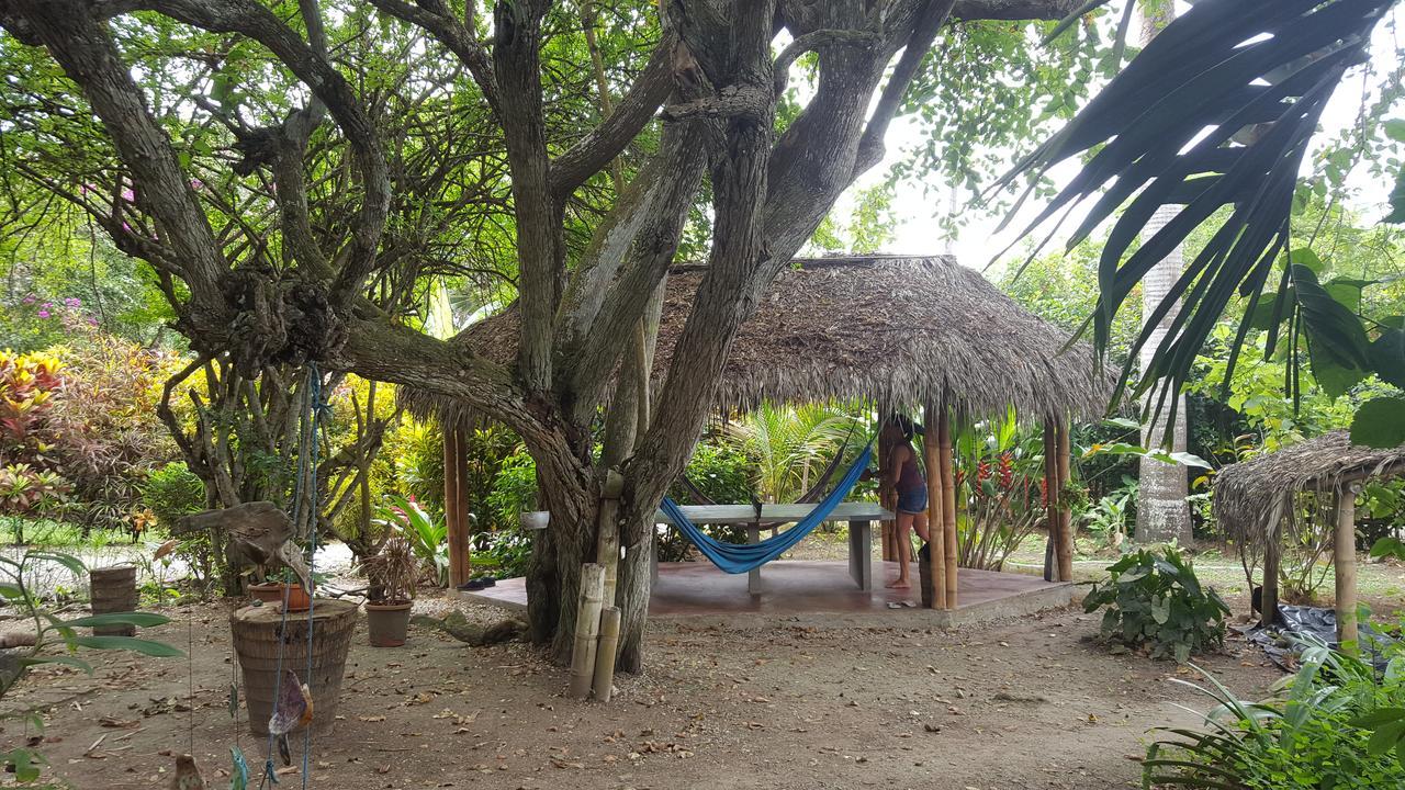 Las Cabanas De La Iguana Ayampe Exterior photo